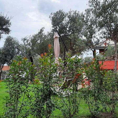 Poggio Degli Ulivi Apartment เจนัว ภายนอก รูปภาพ