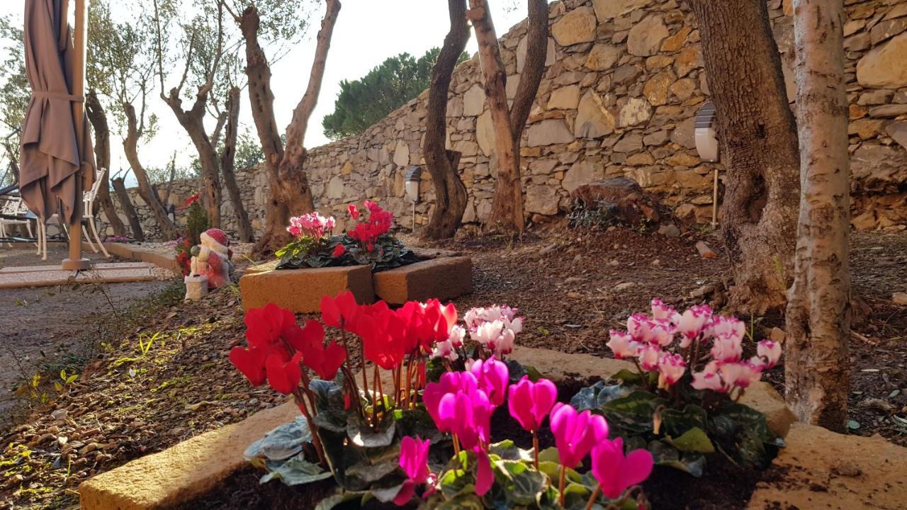 Poggio Degli Ulivi Apartment เจนัว ภายนอก รูปภาพ